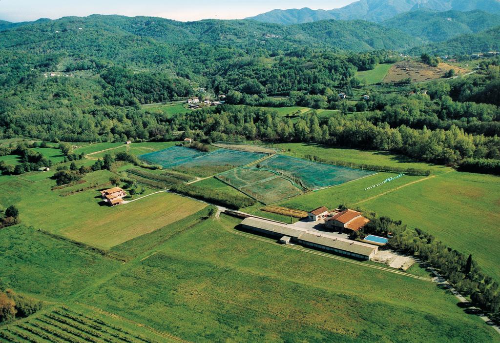 Agriturismo La Praduscella ฟิวิซซาโน ภายนอก รูปภาพ