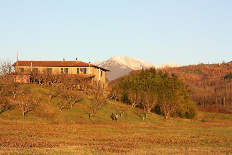 Agriturismo La Praduscella ฟิวิซซาโน ภายนอก รูปภาพ